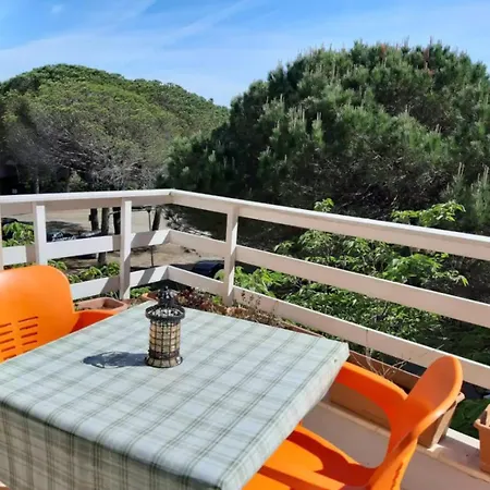 Apartament Pine-hugged *